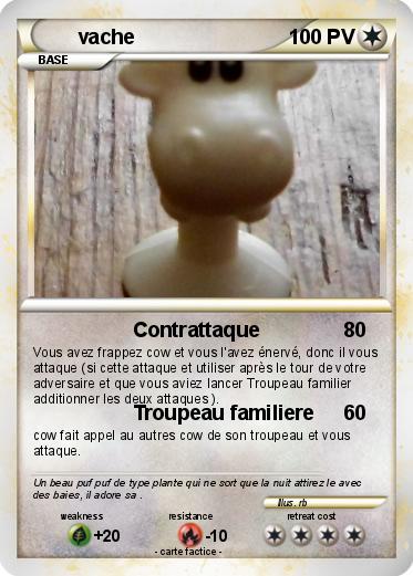 Pokemon vache