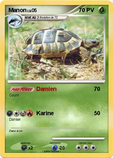 Pokemon Manon