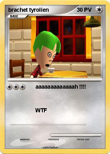 Pokemon brachet tyrolien