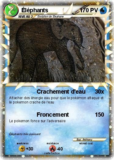 Pokemon Éléphants