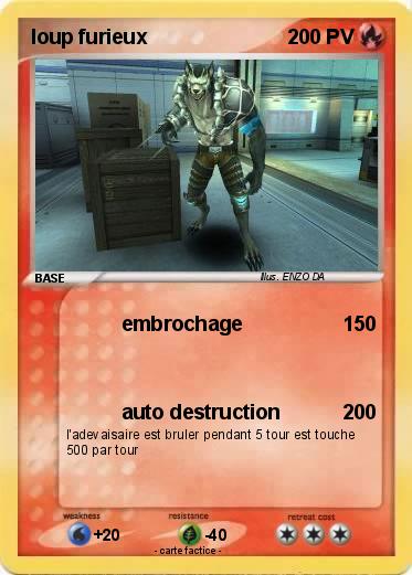 Pokemon loup furieux