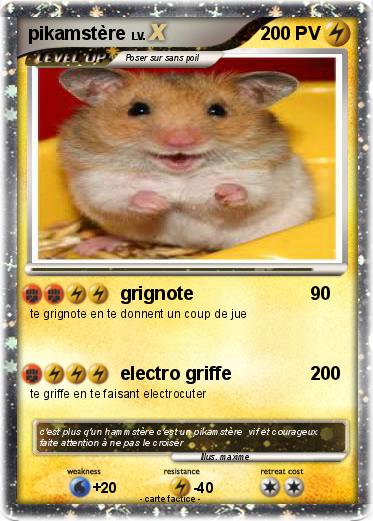 Pokemon pikamstère