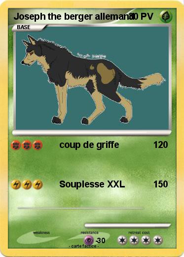 Pokemon Joseph the berger allemand