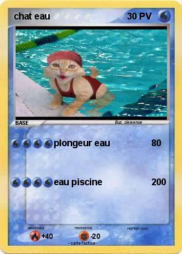 Pokemon chat eau