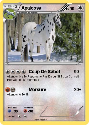 Pokemon Apaloosa