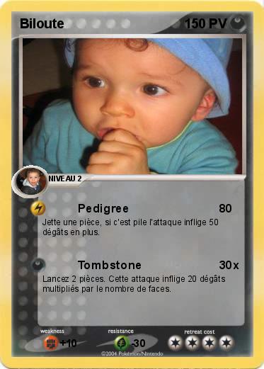 Pokemon Biloute