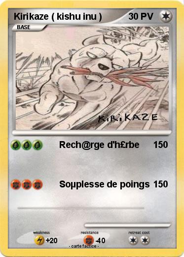 Pokemon Kirikaze ( kishu inu )