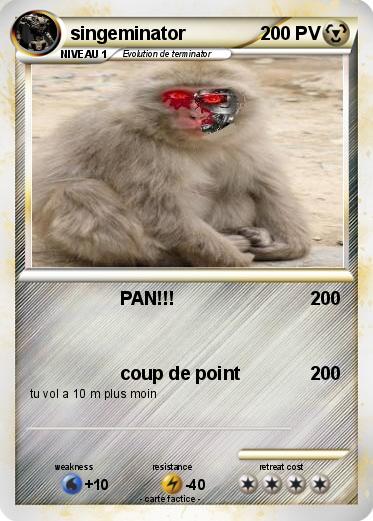 Pokemon singeminator