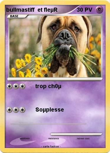 Pokemon bullmastiff  et fleµR