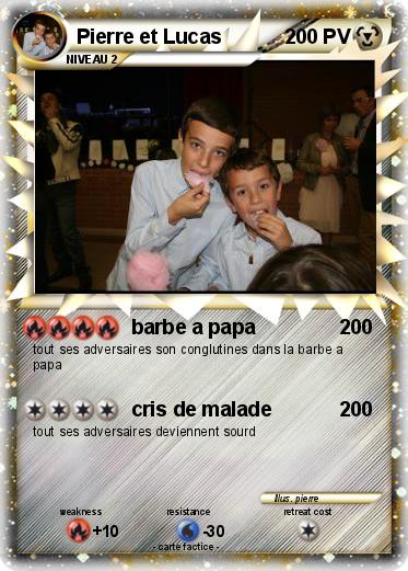 Pokemon Pierre et Lucas