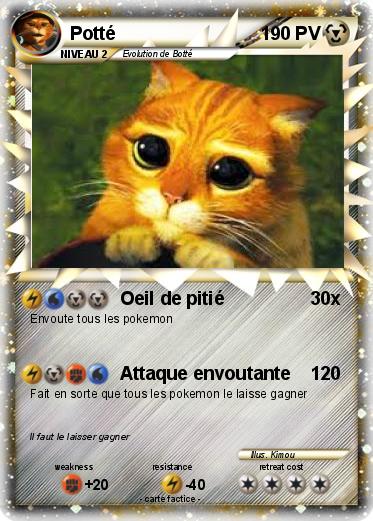 Pokemon Potté