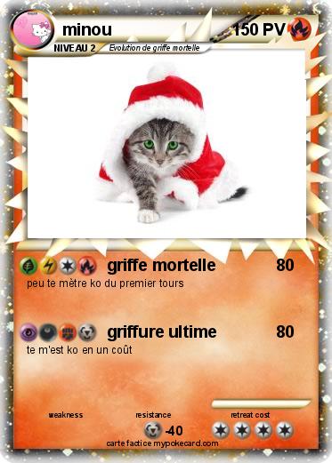Pokemon minou