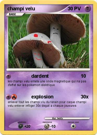 Pokemon champi velu