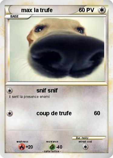 Pokemon max la trufe
