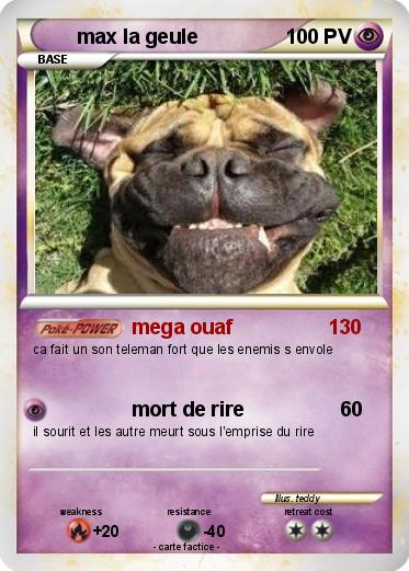 Pokemon max la geule