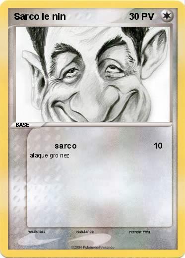 Pokemon Sarco le nin