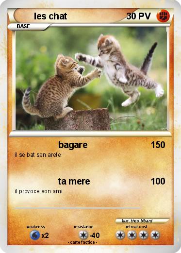 Pokemon les chat