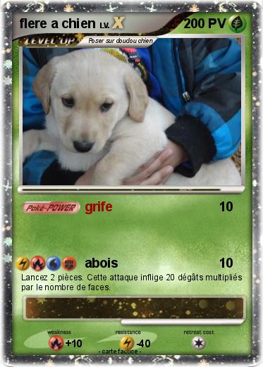 Pokemon flere a chien