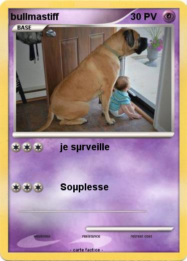 Pokemon bullmastiff