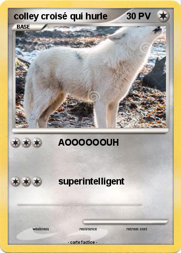 Pokemon colley croisé qui hurle