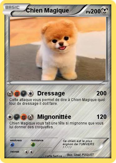 Pokemon Chien Magique