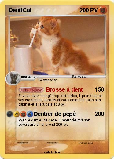 Pokemon DentiCat
