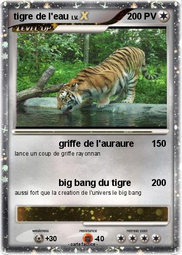 Pokemon tigre de l'eau
