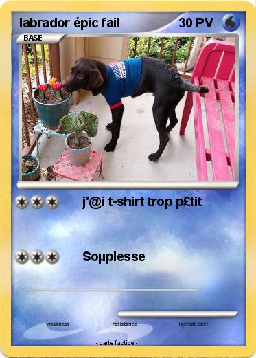 Pokemon labrador épic fail