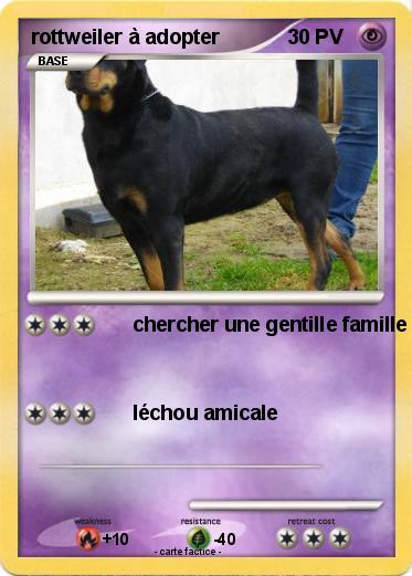 Pokemon rottweiler à adopter