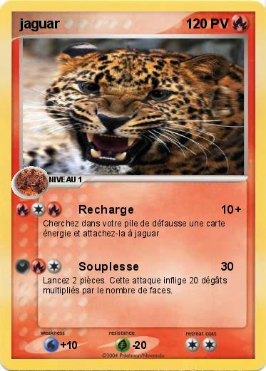 Pokemon jaguar