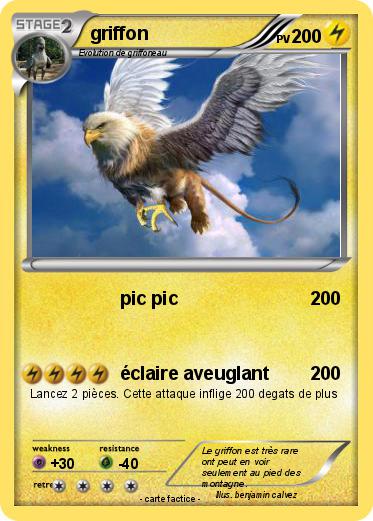 Pokemon griffon