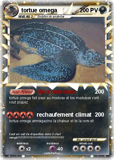 Pokemon tortue omega