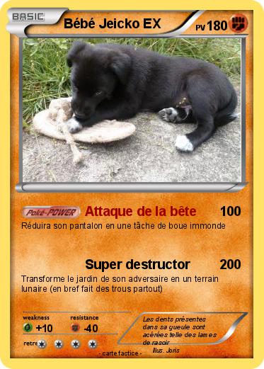 Pokemon Bébé Jeicko EX