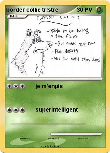 Pokemon border collie tr!stre
