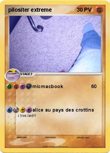 Pokemon pilositer extreme