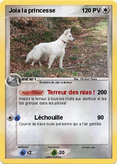 Pokemon Joia la princesse
