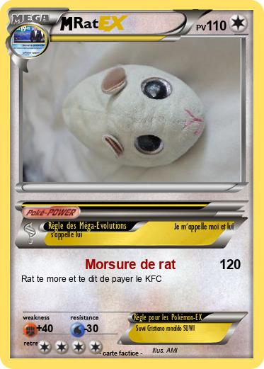 Pokemon Rat
