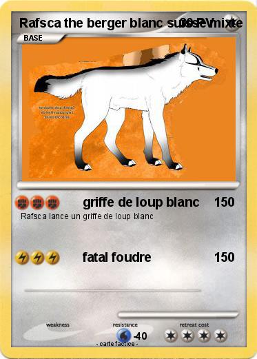 Pokemon Rafsca the berger blanc suisse mixte