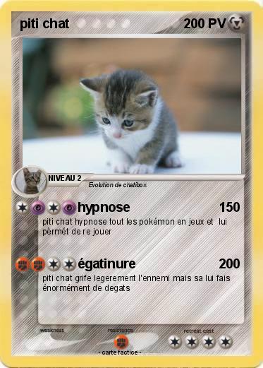 Pokemon piti chat