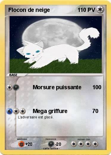 Pokemon Flocon de neige