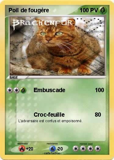 Pokemon Poil de fougère