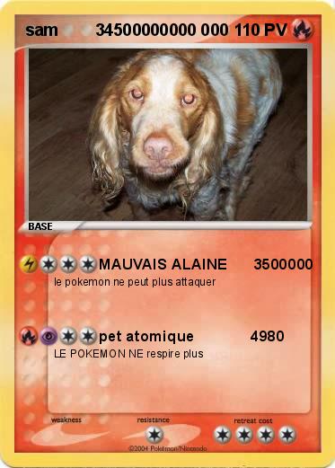 Pokemon sam        34500000000 000                      