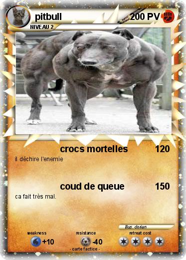 Pokemon pitbull