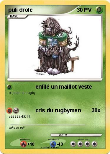 Pokemon puli drôle