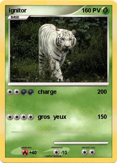 Pokemon ignitor
