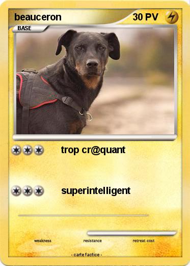Pokemon beauceron