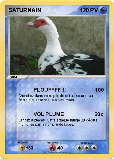 Pokemon SATURNAIN