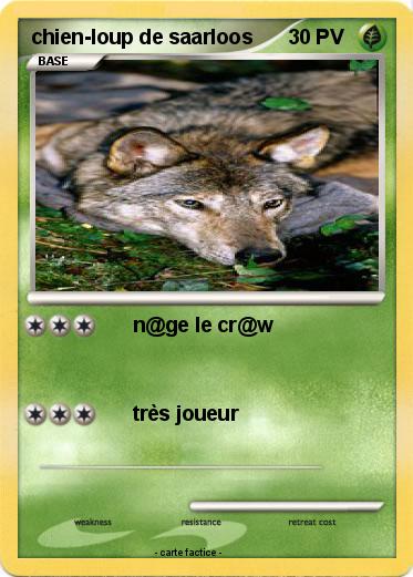 Pokemon chien-loup de saarloos