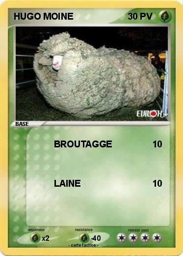 Pokemon HUGO MOINE