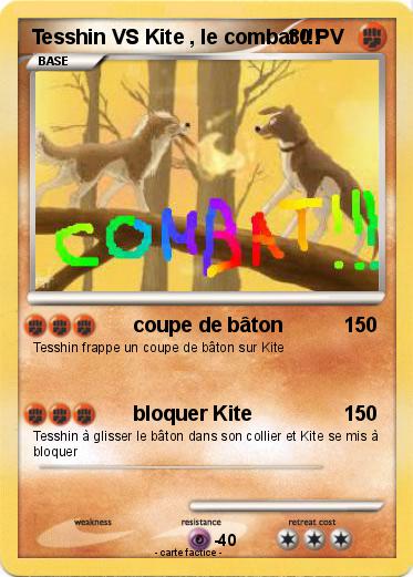 Pokemon Tesshin VS Kite , le combat !!!